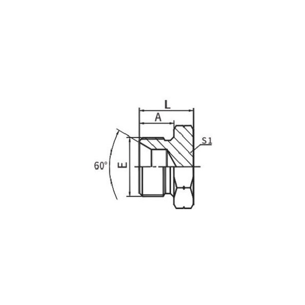 BSP mâle double pour joint collé à siège 60°/BSP femelle cône 60°